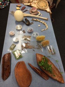 Some bush tucker, coolamons and other items Cassie had on display.