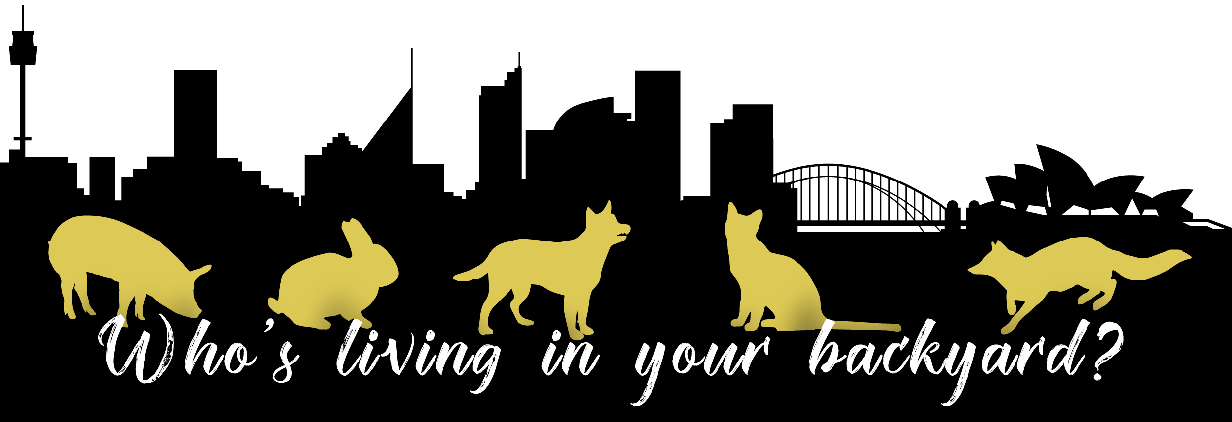 City Livin' Ferals Banner
