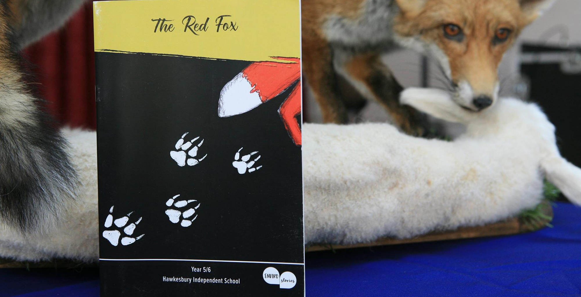 The Red Fox Book