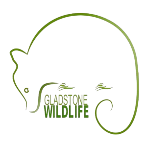 Gladstone Wildlife Logo