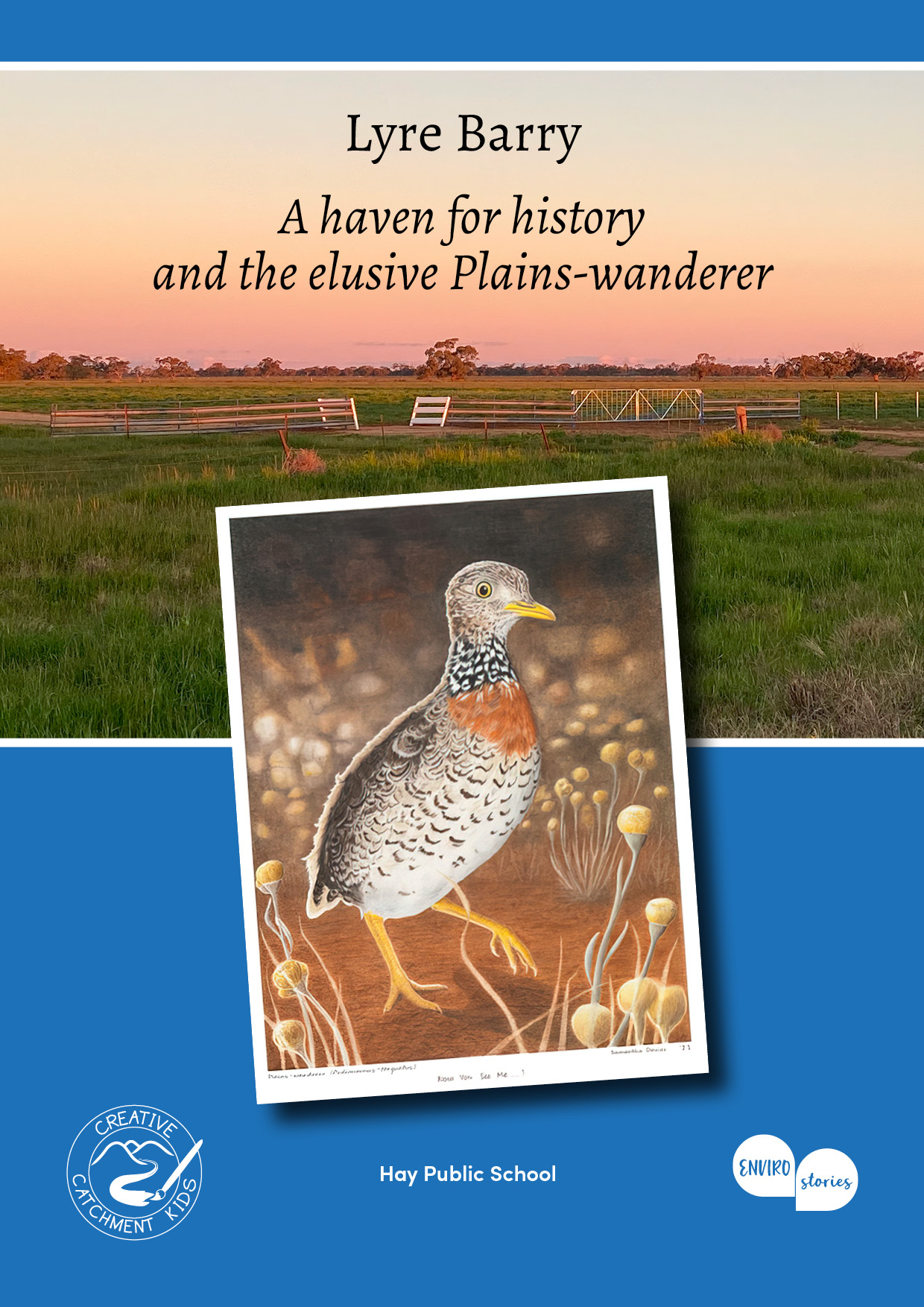 Lyre Barry – A haven for history and the elusive Plains-wanderer