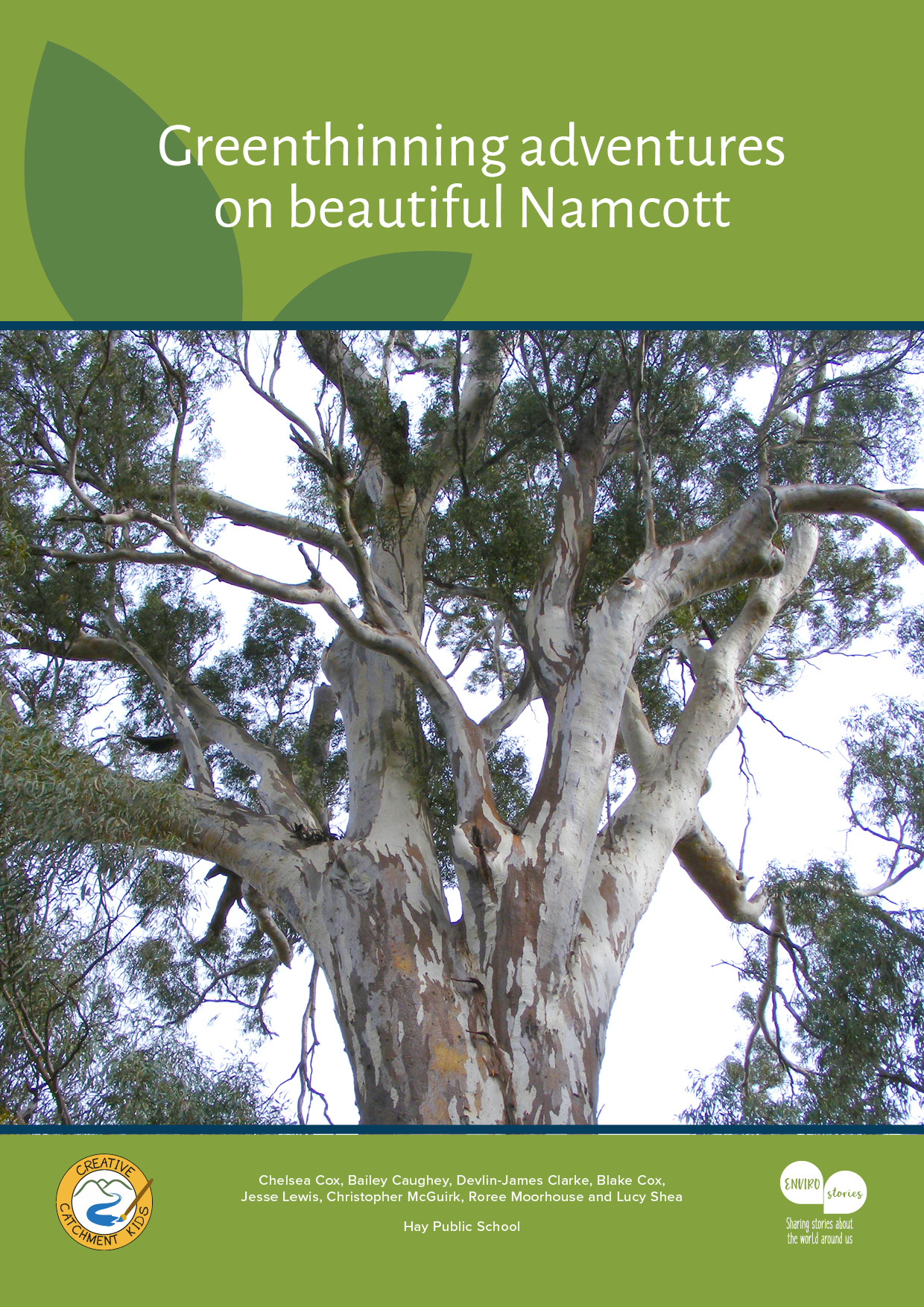 Greenthinning adventures on beautiful Namcott