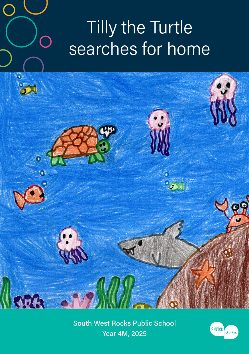 Tilly the Turtle searches for home
