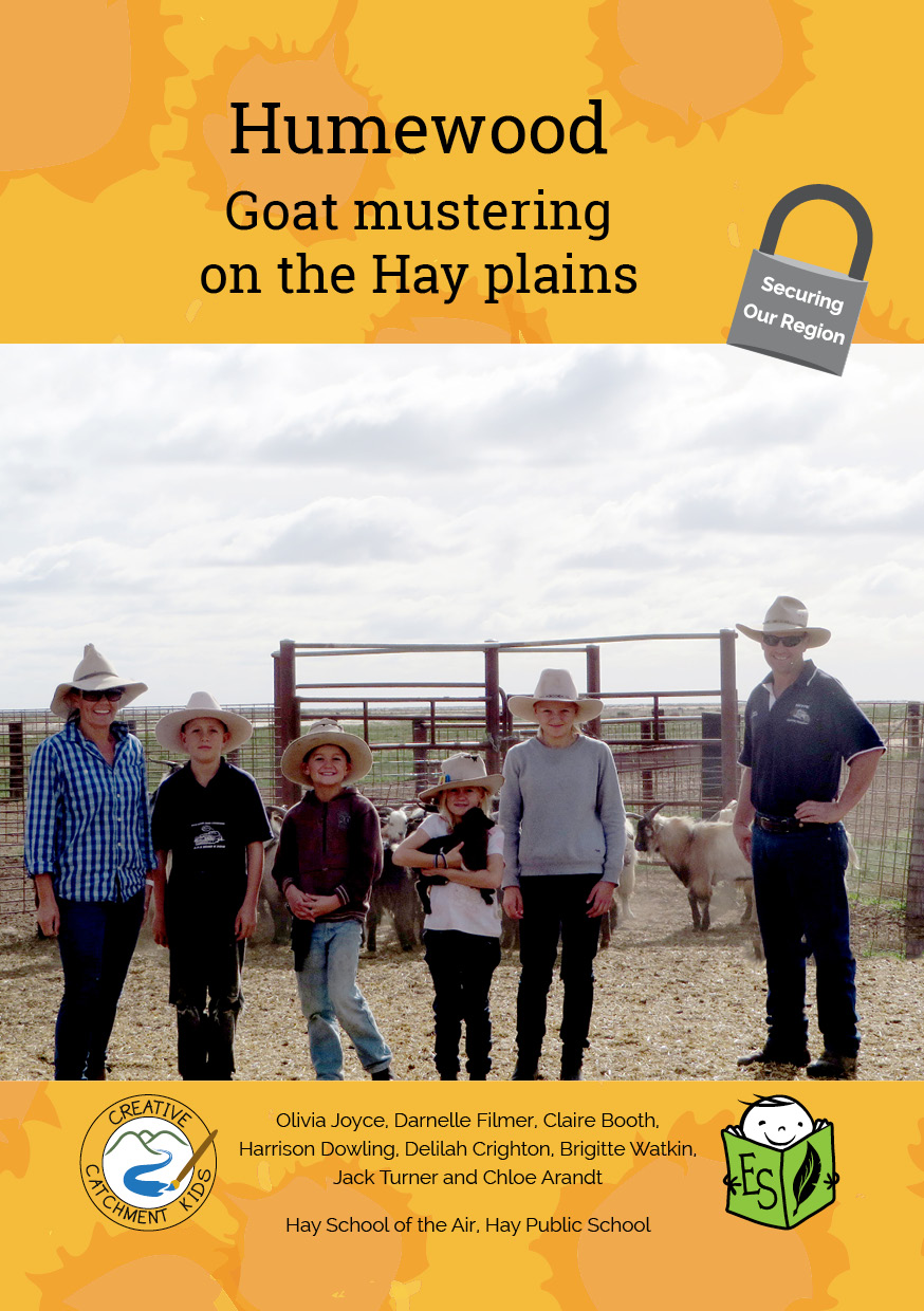 Humewood, Goat mustering on the Hay plains