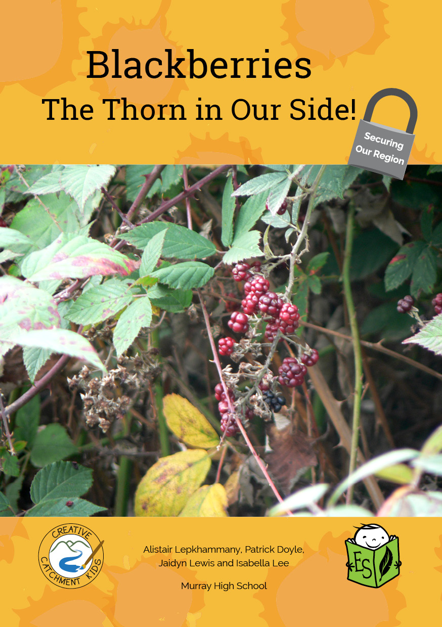 Blackberries – The Thorn in Our Sides