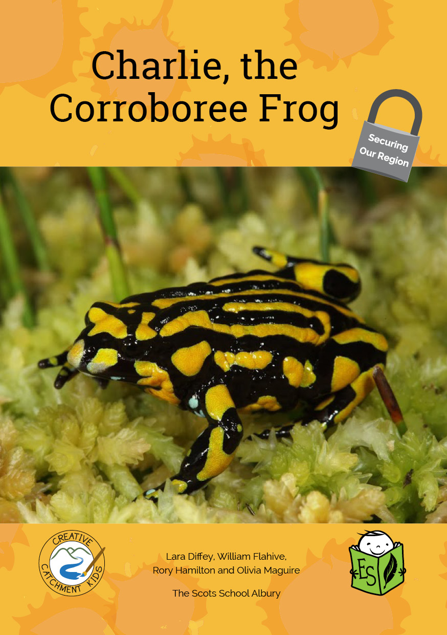 Charlie, the Corroboree Frog