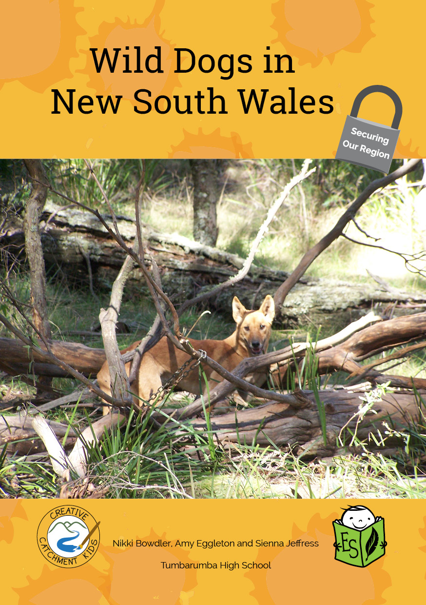 Wild Dogs in New South Wales