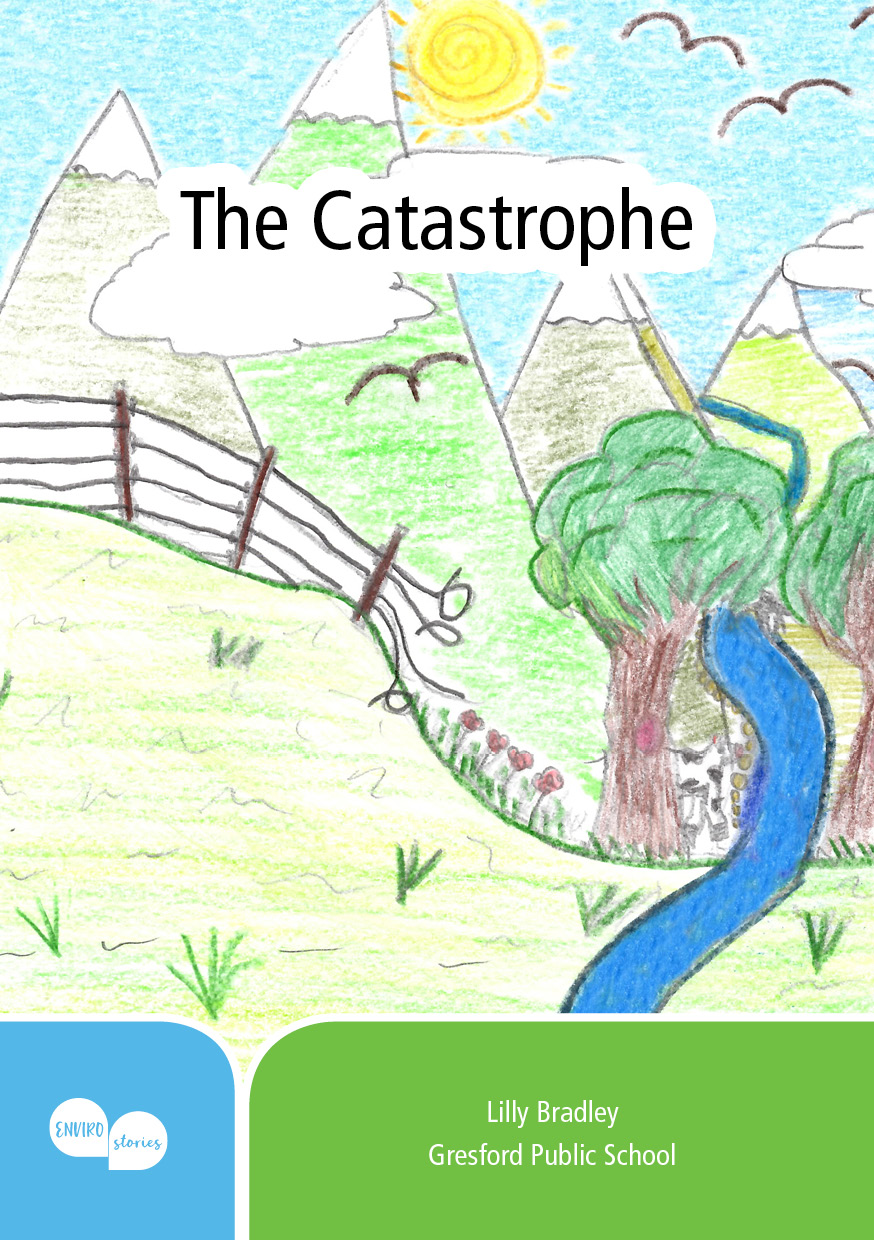 The Catastrophe