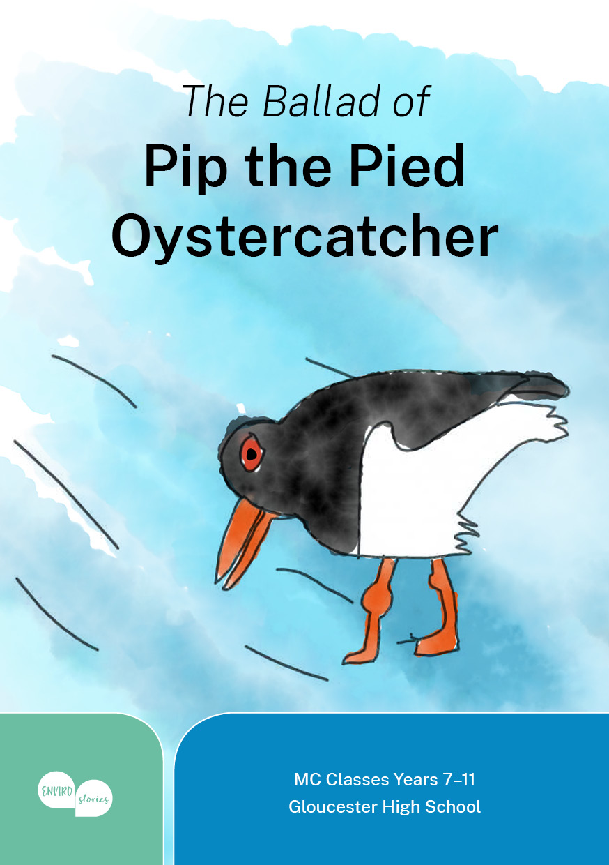 The Ballad of Pip the Pied Oystercatcher