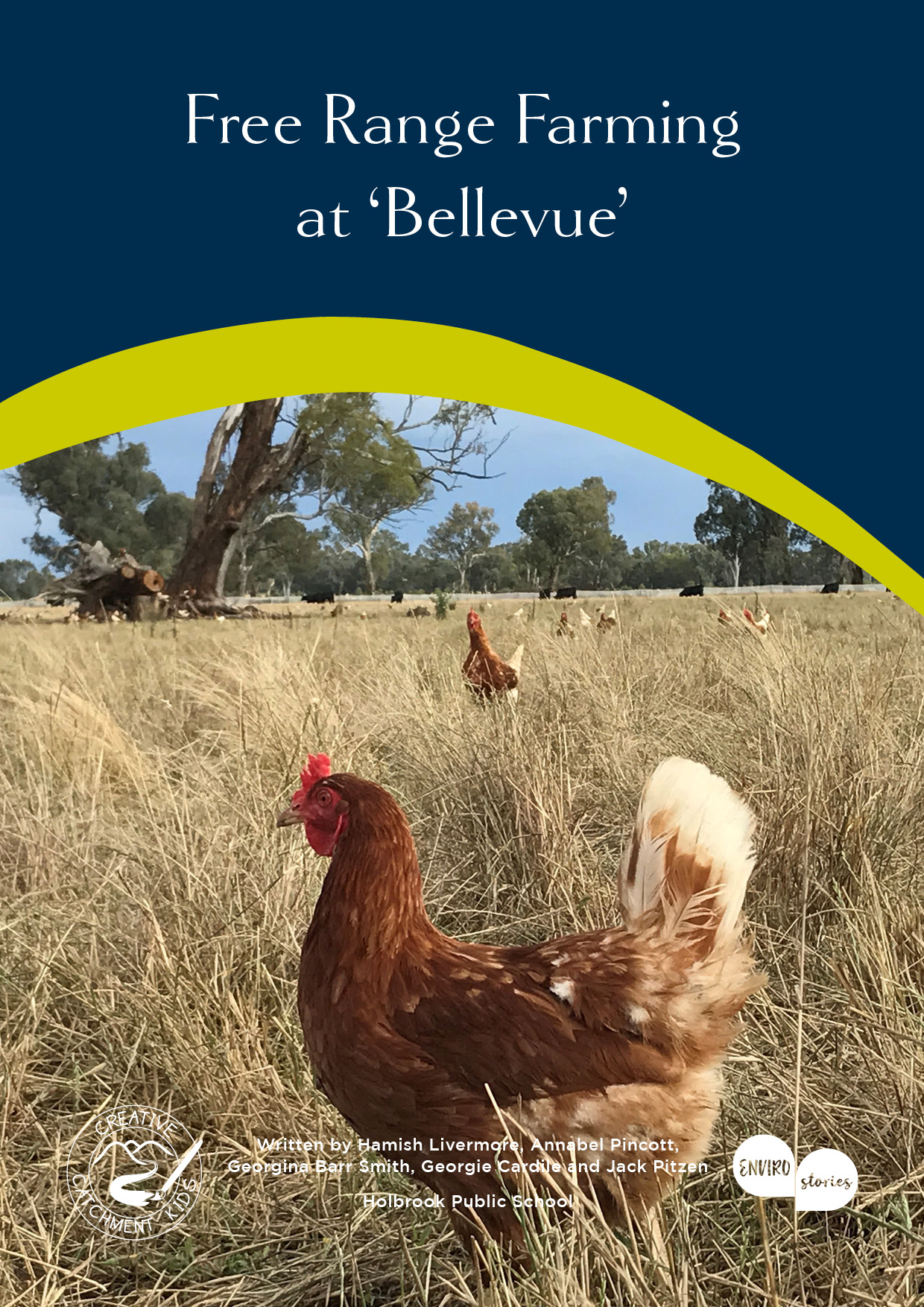 Free Range Farming at ‘Bellevue’