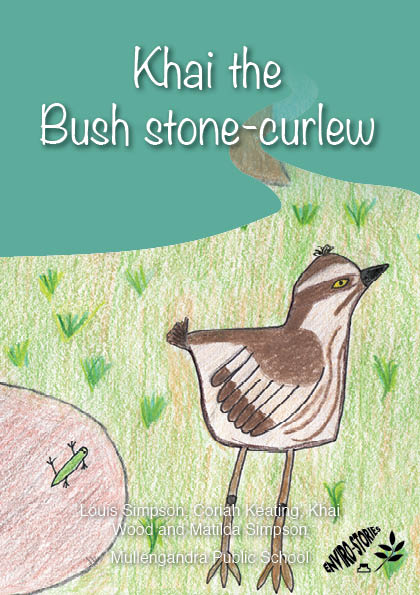 Khai the Bush Stone-curlew