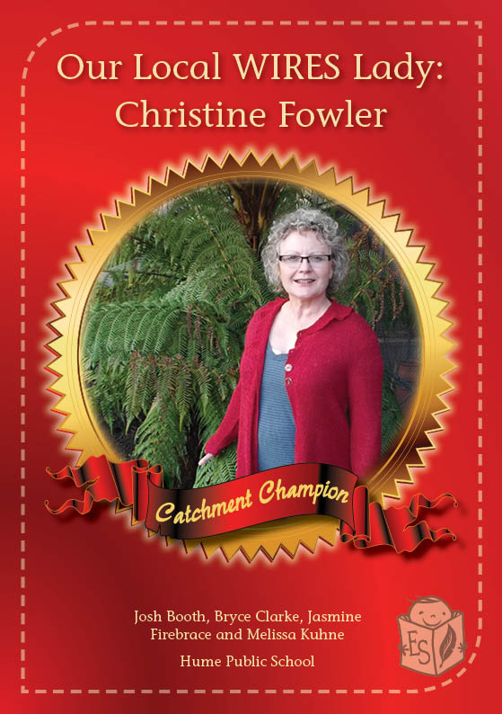 Our local WIRES Lady: Christine Fowler