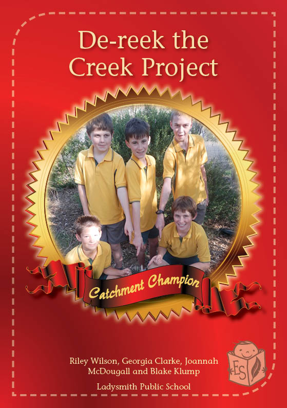 De-reek the Creek Project