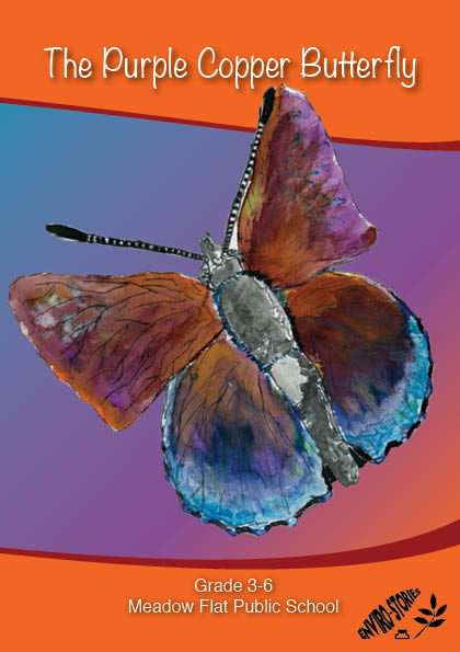 The Purple Copper Butterfly