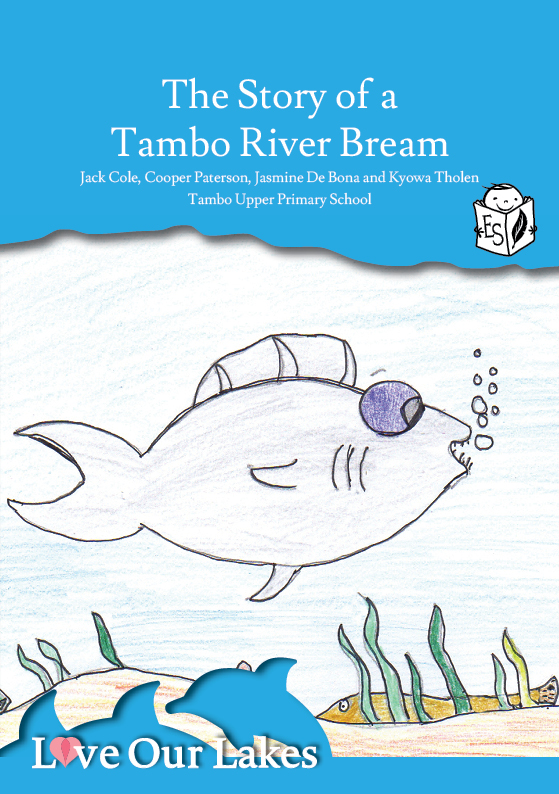 The Story of a Tambo Upper Bream